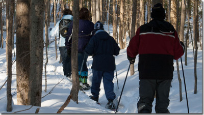 SNowshoeing on the Bruce Trail